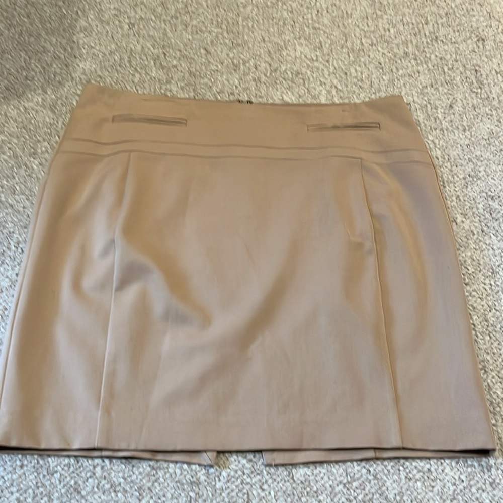 Express Skirt